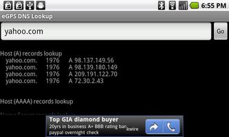 DNS Lookup capture d'écran 1