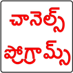 తెలుగు చానెల్స్ ప్రోగ్రామ్స్  Daily Wise