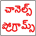 తెలుగు చానెల్స్ ప్రోగ్రామ్స్  Daily Wise आइकन