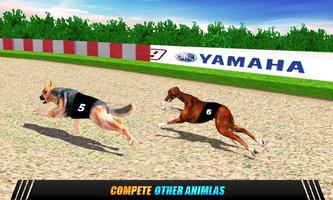 Wild Animals Racing 2 screenshot 2