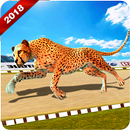 Wild Cheetah Racing Fever: Animal Simulator Race APK