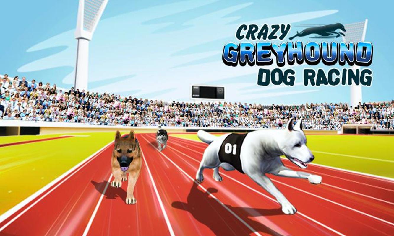 Crazy Greyhound Dog Racing APK Download Free Simulation GAME for
