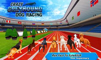 Crazy Greyhound Dog Racing capture d'écran 1