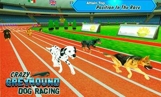 Crazy Greyhound Dog Racing capture d'écran 2
