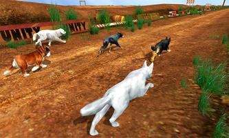 Crazy Greyhound Dog Stunt Race 18 poster