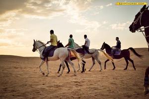 Egypt Horse syot layar 2
