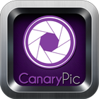 Canary Pic ícone