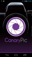Canary Pic Affiche