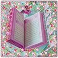The Holy Quran With English Translation