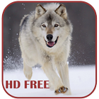 Wolf Live Wallpaper icon