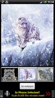 Tiger HD live Wallpapers スクリーンショット 1