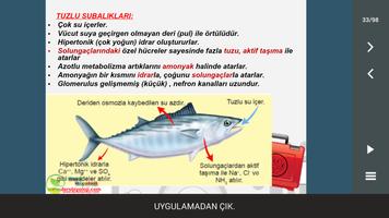 2 Schermata Boşaltım Sistemi