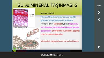 Bitkilerde Taşıma capture d'écran 2