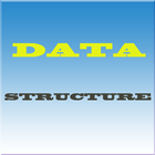 Icona Data Structure