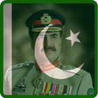 Pakistan Flag On Face:Profile icône