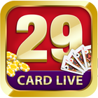 29 Card Game icône