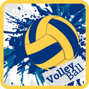 Voli Pantai 2-APK