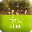Thai rice RoongAroon icon