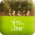 Thai rice RoongAroon