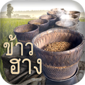 Hang Rice