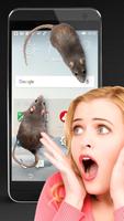 Rat en la pantalla Scary Joke Poster