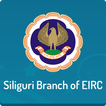 Siliguri Branch (EIRC of ICAI)