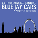 Blue Jay Cars APK