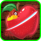 Fruit Cut: Classic Bird Rescue Game For Kids-icoon