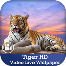 Tiger HD Video Live Wallpaper APK