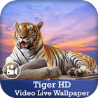 Tiger HD Video Live Wallpaper icône