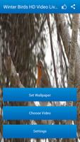 Winter Birds HD Video Live Wallpaper capture d'écran 1