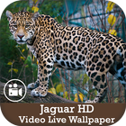 Jaguar HD Video Live Wallpaper icône
