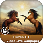 Horse HD Video Live Wallpaper icône