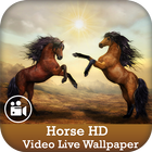 Horse HD Video Live Wallpaper icon