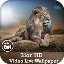 Lion HD Video Live Wallpaper APK