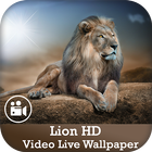 Lion HD Video Live Wallpaper icône