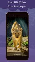 Lion HD Video Live Wallpaper Affiche