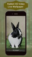Rabbit Live Video Wallpaper capture d'écran 1