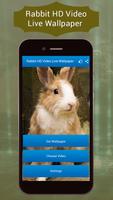 Rabbit Live Video Wallpaper capture d'écran 2