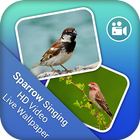 Sparrow Singing HD Video Live Wallpaper icône