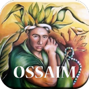 Ossaim APK