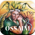 Ossaim icône