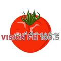 Visión FM