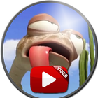 Video Of Oscar Oasis icon