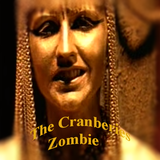 The Cranberries - Zombie иконка