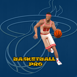 BasketBall Pro