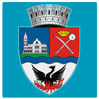 Buzau City Report icon