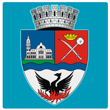 Buzau City Report icon