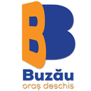Buzau City Report APK