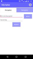 SQLCipher Encryption captura de pantalla 1